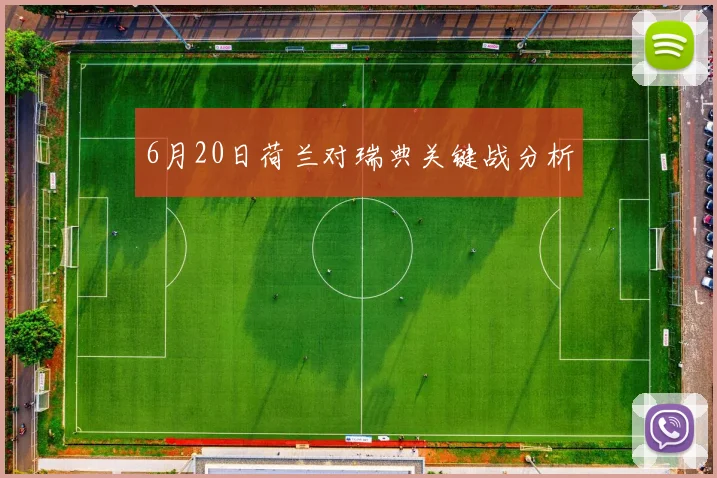 6月20日荷兰对瑞典关键战分析
