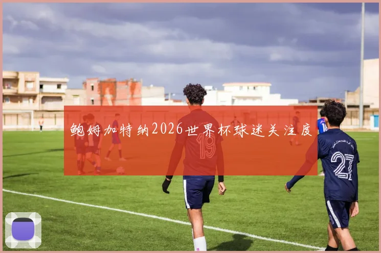 鲍姆加特纳2026世界杯球迷关注度