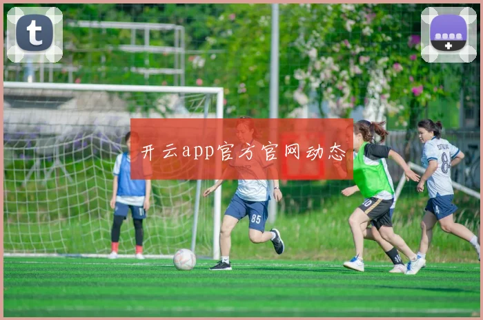 开云app官方官网动态