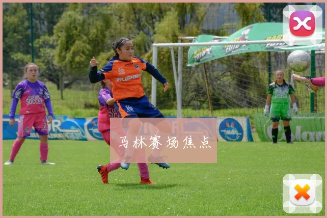 马林赛场焦点