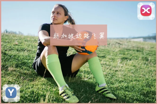 新加坡边路飞翼