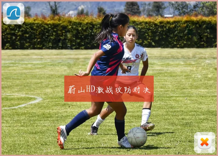 蔚山HD激战攻防对决