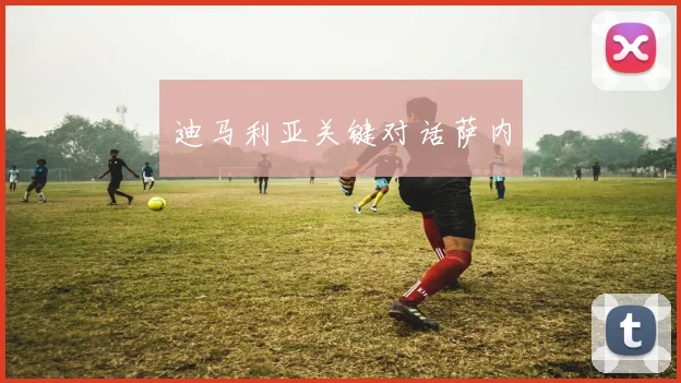 迪马利亚关键对话萨内