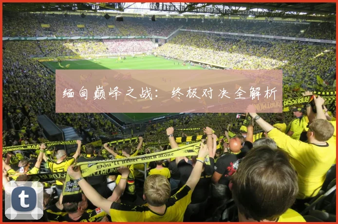 缅甸巅峰之战：终极对决全解析