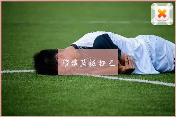 穆雷篮板称王