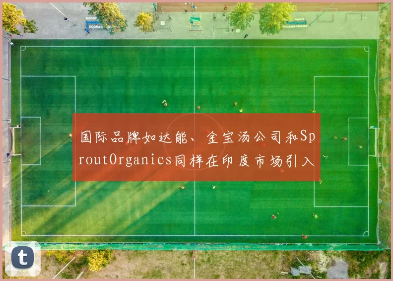 国际品牌如达能、金宝汤公司和SproutOrganics同样在印度市场引入有机产品