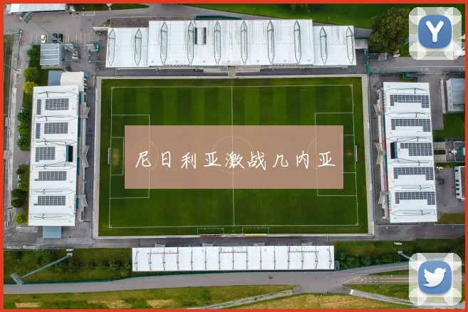 尼日利亚激战几内亚