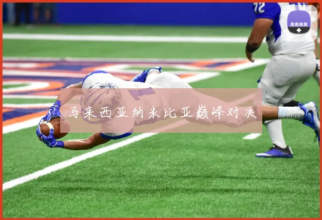 马来西亚纳米比亚巅峰对决