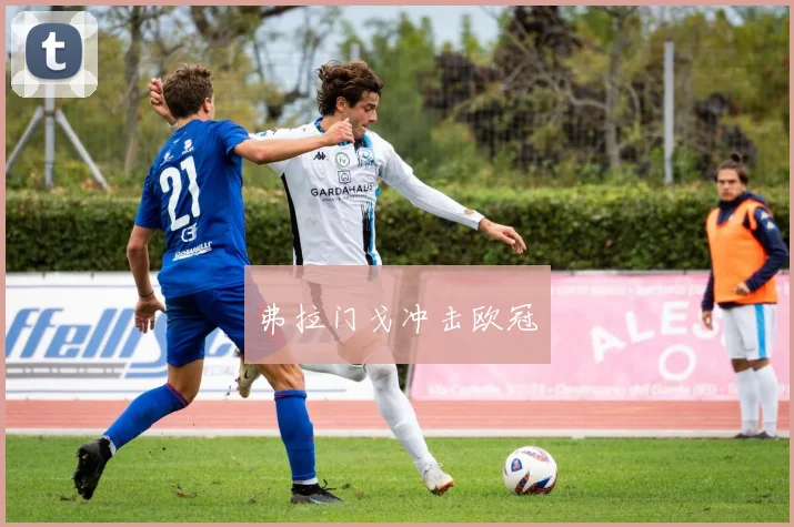 弗拉门戈冲击欧冠