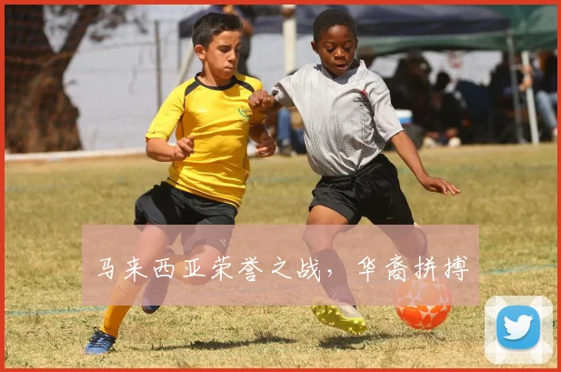 马来西亚荣誉之战，华裔拼搏