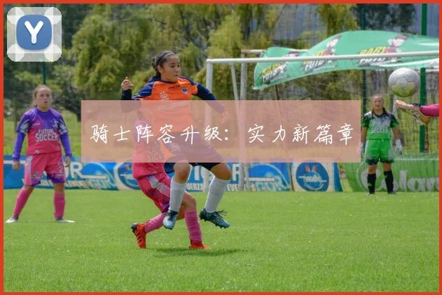 骑士阵容升级：实力新篇章