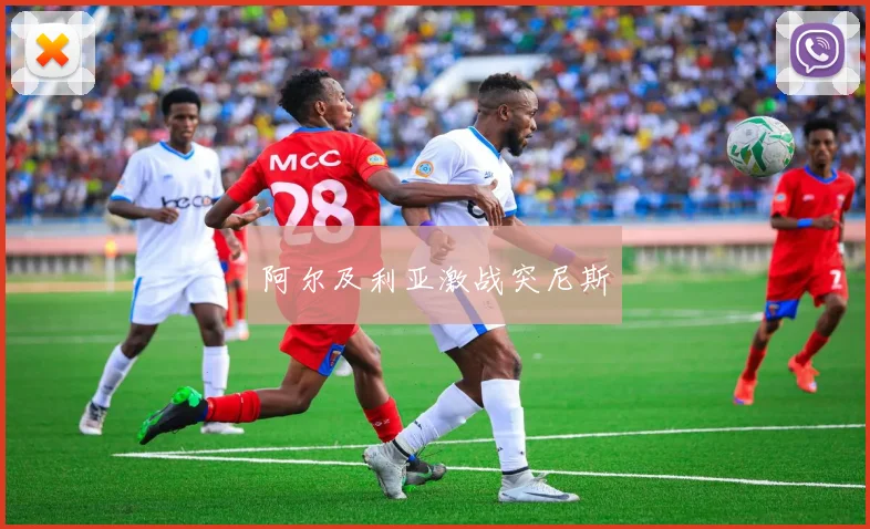 阿尔及利亚激战突尼斯