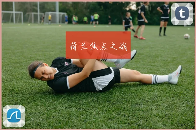 荷兰焦点之战