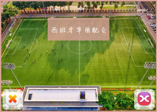 西班牙华丽配合