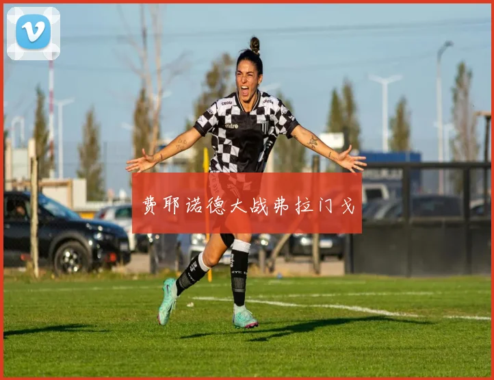 费耶诺德大战弗拉门戈