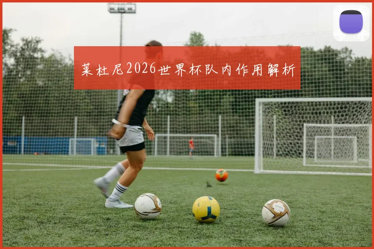 莱杜尼2026世界杯队内作用解析